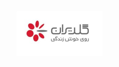 نمایندگی پکیج گلدیران در شیراز